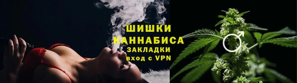 крисы Богородск