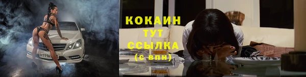 мдпв Богданович