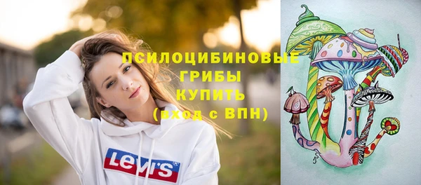 мдпв Богданович